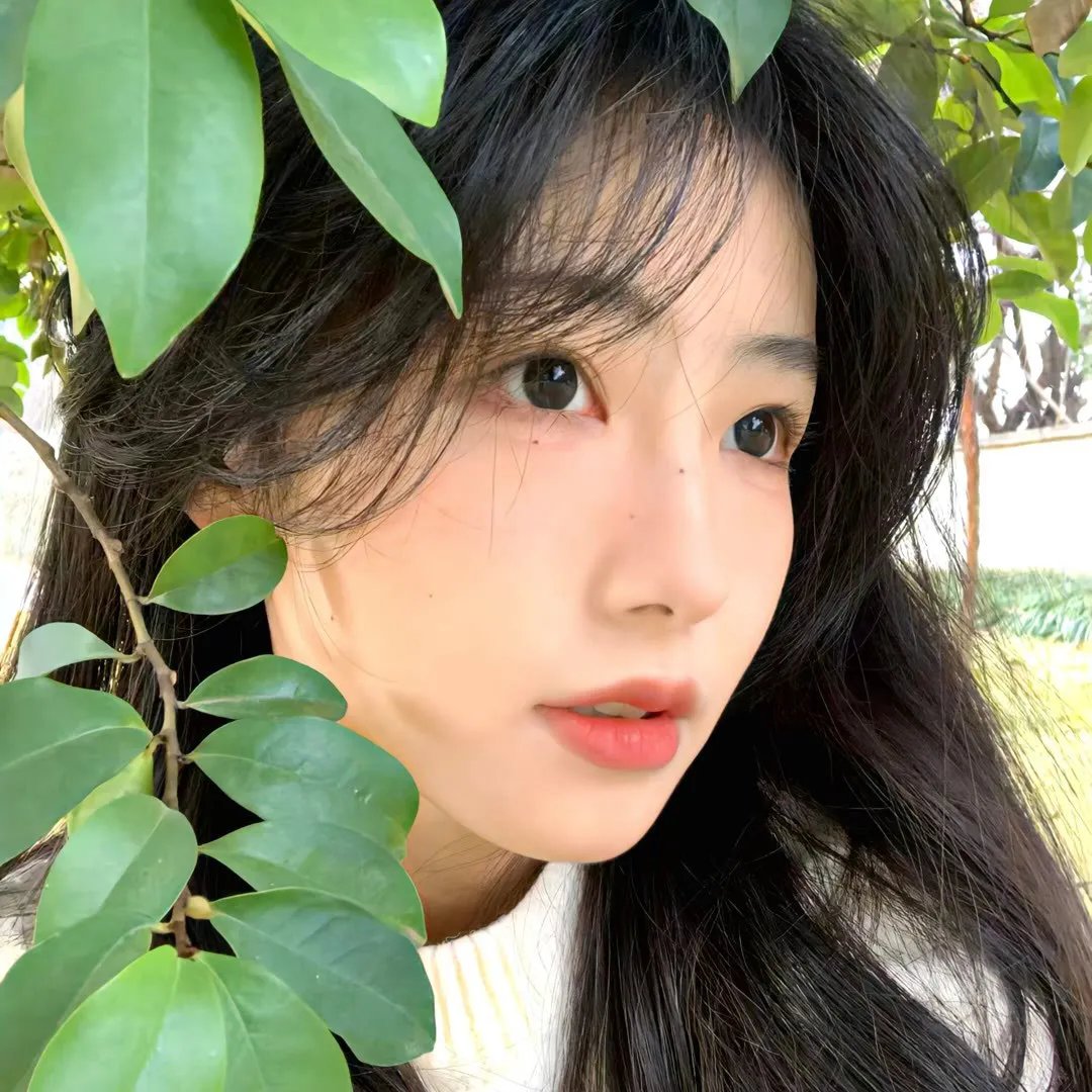 极地先锋